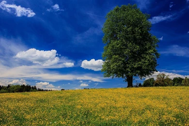 Real Outstation HD Wallpapers   Wallpapers