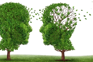 Real Nature Wallpapers   HD Wallpapers And Pictures