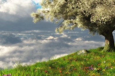 Pic New Posts: Real Hd Desktop Wallpapers