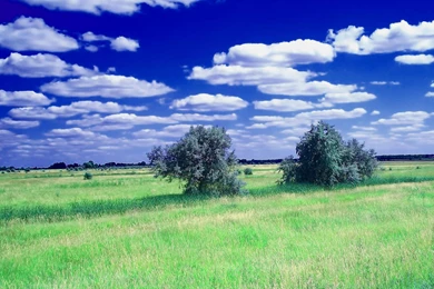 Nature HD Photo Gallery Wallpapers For Desktop Backgrounds