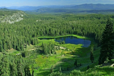 Free Screensavers And Wallpapers   7Screensavers.com