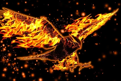 High Definition Eagle Wallpapers For Free Download