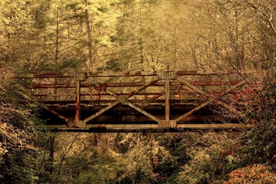 50 Best Real World Full HD Digital Photography