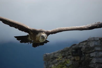 HDWallSource.com   Your Source For The Best HD Wallpapers