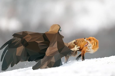 Low poly Eagle Wallpapers I Made : Wallpapers