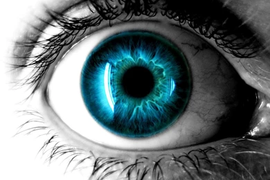 2015 10 02   Page 207