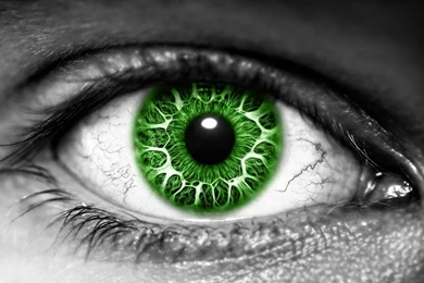 Green Eyes Wallpapers   Wallpapers Cave