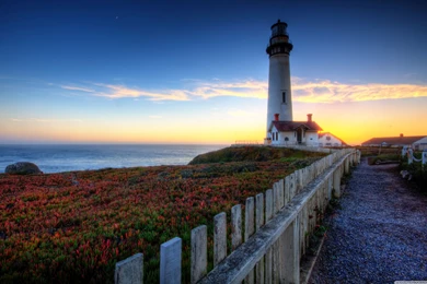 Download Pigeon Point Lighthouse Wallpapers   Wallpapers Printed