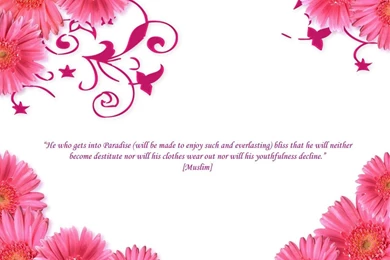 Free Islamic Wallpapers Desktop Background Images   IslamCan.com