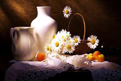 Still Life   Deedeeflower Wallpapers (19541770)   Fanpop