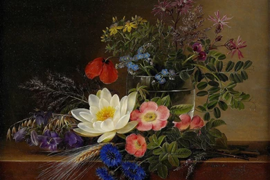 Still Life Wallpapers HotFreeWallpaper.com