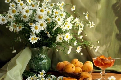 Still Life Deedeeflower Wallpapers (19541766) Fanpop