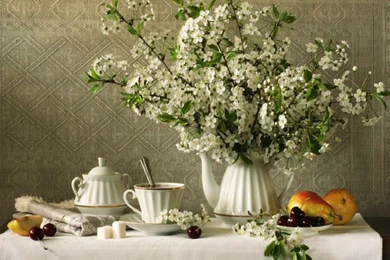 Still Life Deedeeflower Wallpapers (19541777) Fanpop