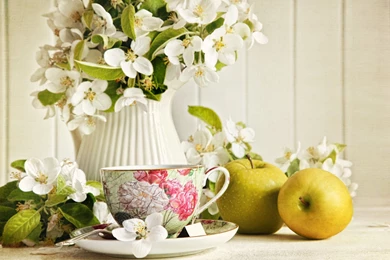 Still Life Computer Wallpapers, Desktop Backgrounds