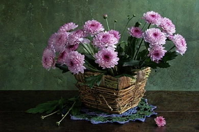 377 Still Life HD Wallpapers