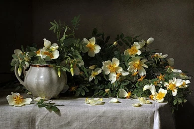 STILL LIFE WALLPAPER   (