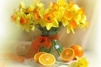 Still Life   Deedeeflower Wallpapers (19541773)   Fanpop