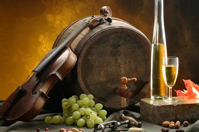 Sketch For Still Life / 1680 X 1050 / Other / Photography ...