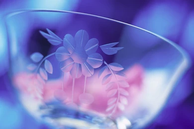 Home Still Life Wallpapers 15964   Indoor Home   Still Life