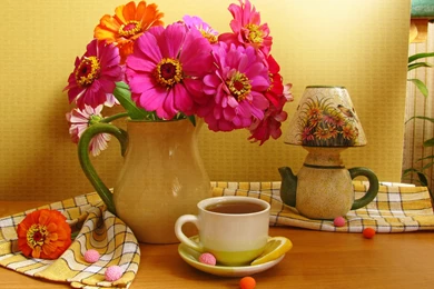 377 Still Life HD Wallpapers