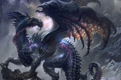 HD Pics Black Dragons Wallpapers
