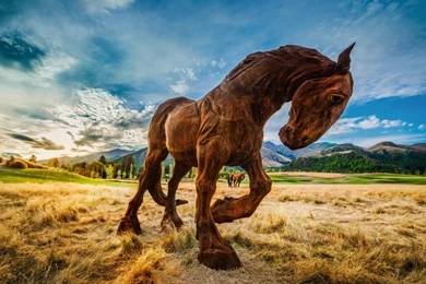 Wild Horse HD Desktop Wallpapers : Widescreen : High Definition ...
