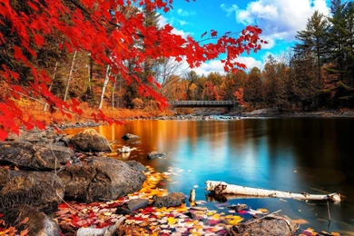 Autumn Hd Wallpapers ›› Page 0
