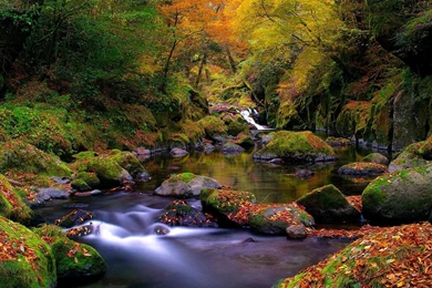 Forest Creek Autumn Mac Wallpapers Download
