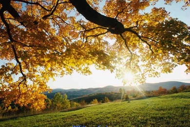 Wallpapers Natural Beauty   Widescreen HD Wallpapers