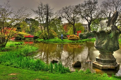 Lush Greenery Pictures Beautiful Gardens   WonderWordz