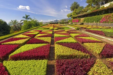 Garden Wallpaper HD Free Download 7 Download.jpg