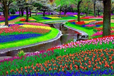 World Top Class Heart Garden Hd Wallpapers