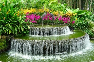 GARDEN FOUNTAIN WALLPAPER   (