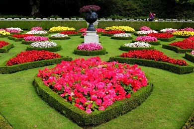 Botanic Garden Beautiful Hd Wallpapers