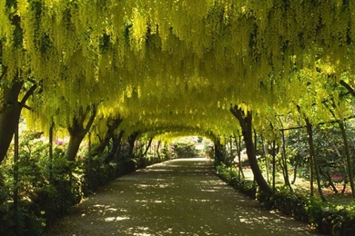 Hd Wallpapers Gardens 258362