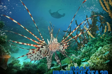 3d Wallpapers: Free Hd Widescreen Wallpapers For Desktop