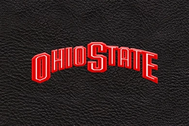 Osu Desktop Wallpapers 135   Ohio State Football Photo (28702246 ...