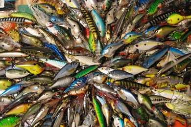 Gallery For   Game Fishing Wallpapers