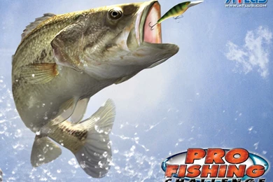 Bass Fishing Wallpapers Hd Wallpapers   19108