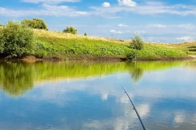 iPhone 4S, 4 Fishing Wallpapers HD, Desktop Backgrounds 640x960 ...