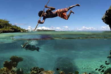 Fish Fishing Hunt Hunting Spears Split view Stabbing Best