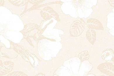 Textures Wallpapers Texture Style Shop Wallcovering By Collection ...