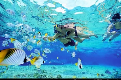 Bora Bora   Sofie's Free Wedding Tips