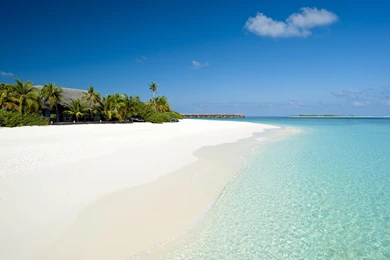 White Sand Beach Bora Bora   (