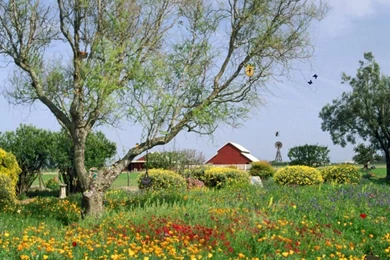 Spring   Seasonal Wallpapers   Crazy Frankenstein