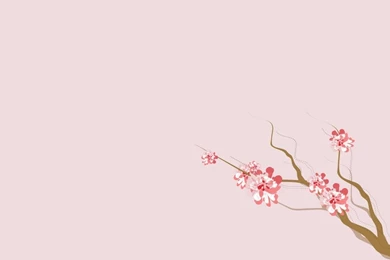 Pink And Branch Some Pattern Abstract Hd Wallpapers   (