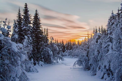 Free Winter Mac Wallpapers, iMac Wallpapers, Retina MacBook Pro ...