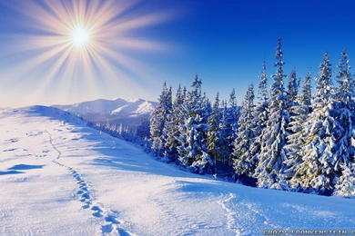 Winter Sun Wallpapers   Crazy Frankenstein