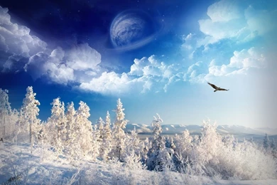 1152x864 Winter Wonderland Desktop PC And Mac Wallpapers