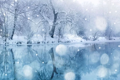Winter Snowfall Mac Wallpapers Download